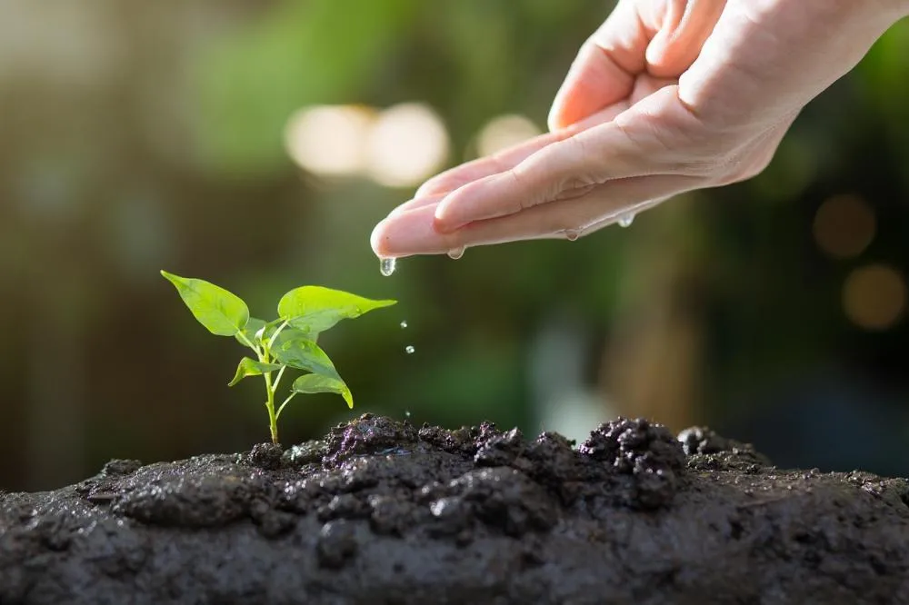 2º Encontro Interestadual de Agricultura Orgânica e Turismo Rural será realizado em Claraval