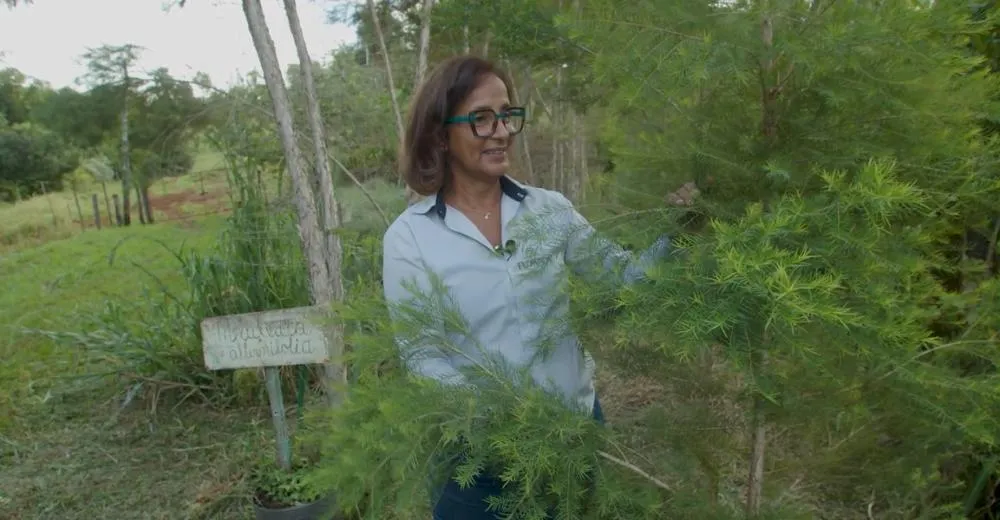 Sebrae Transforma conta a história de Cleicy Alves de Brito, vencedora do Prêmio Mulher de Negócios