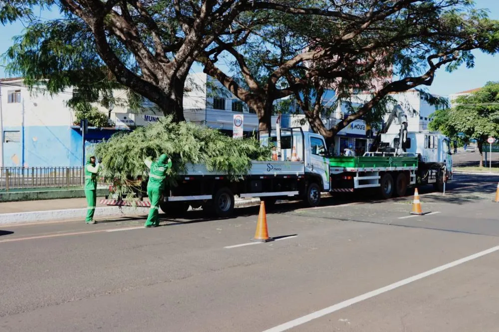 Prefeitura Intensifica Poda de Árvores em Franca para Evitar Acidentes e Preservar Arborização Urbana