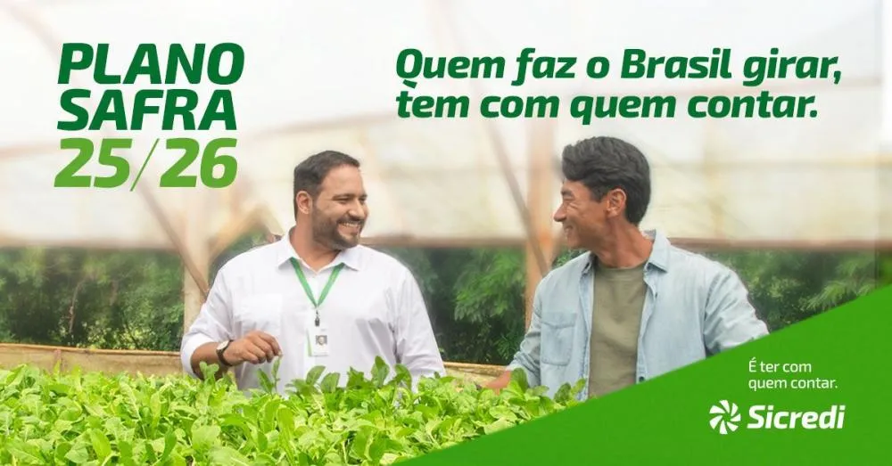 Plano Safra 2025/2026: Sicredi prevê liberação de R$ 22 bilhões para produtores rurais do Paraná, São Paulo e Rio de Janeiro
