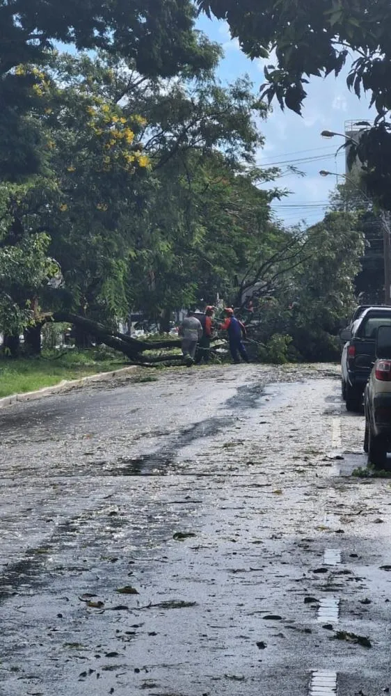 Chuva forte com vento e granizo provoca estragos e desabamento em antiga fábrica em Franca