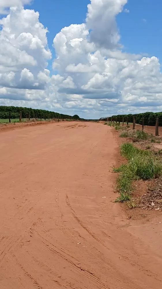 Deputada Delegada Graciela acompanha situação das obras da Estrada do Caititu e cobra providências do DER