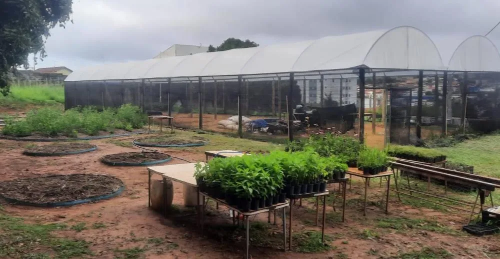 Horto Medicinal do Allan Kardec avança na estruturação e projeta abertura para visitas