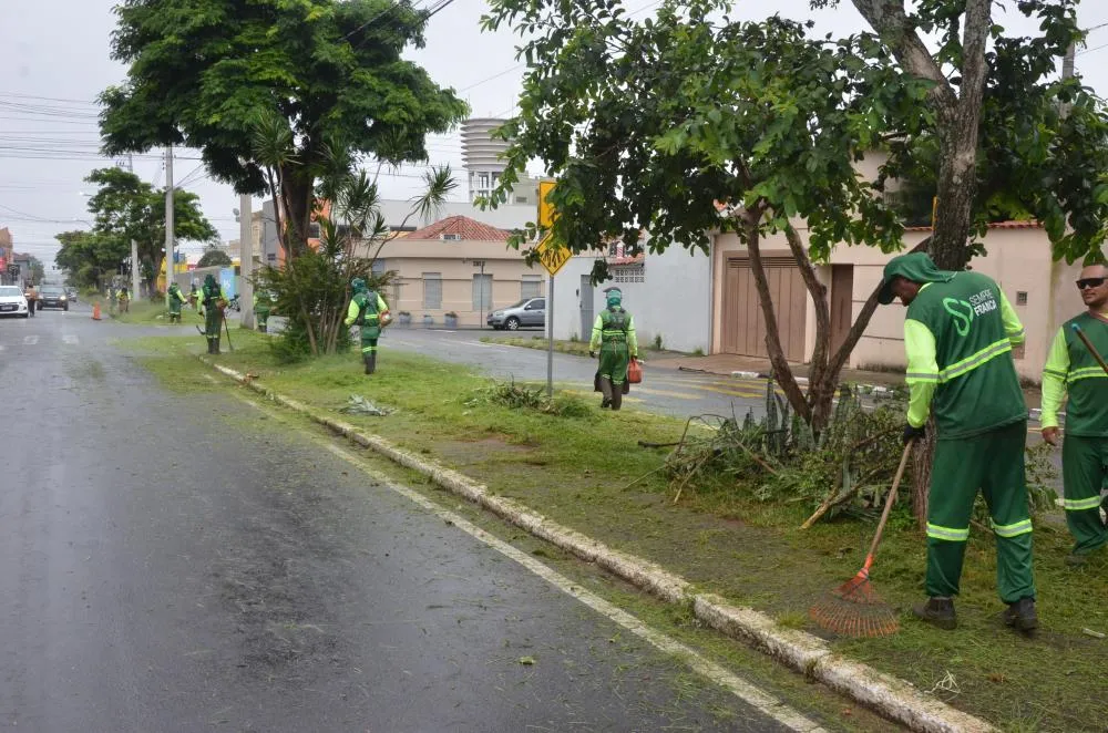 Prefeitura intensifica serviços de podas e roçadas em áreas públicas