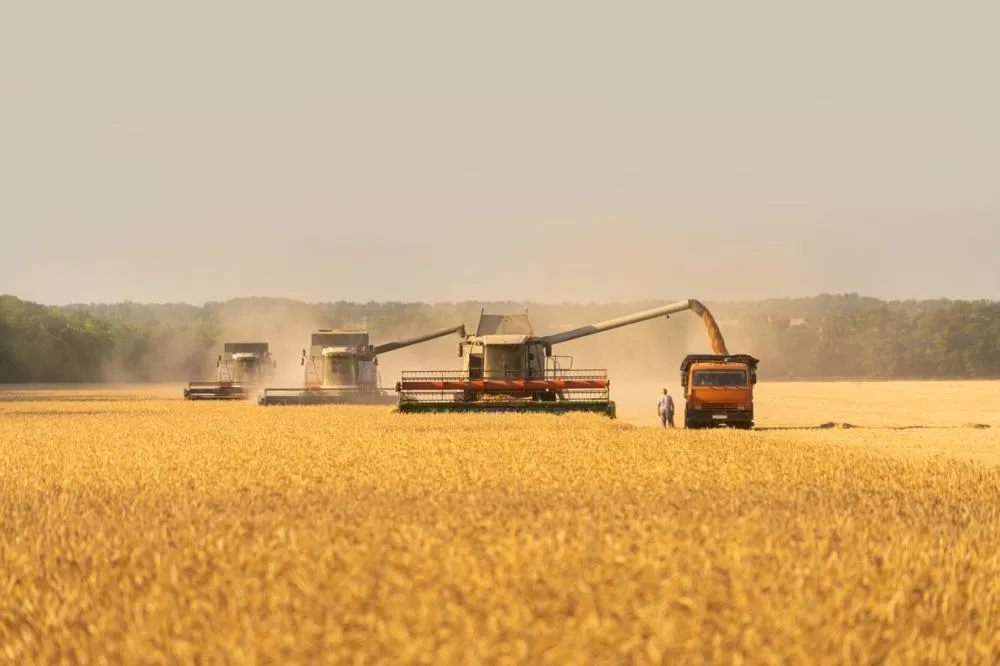 Consórcio agro cresce como alternativa para produtores rurais