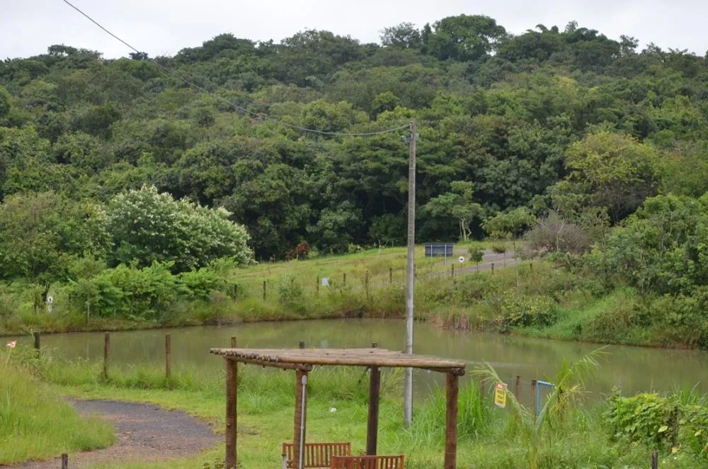 Parque dos Trabalhadores em Franca recebe ação ambiental 1 Bebê, 1 Árvore com plantio de mudas