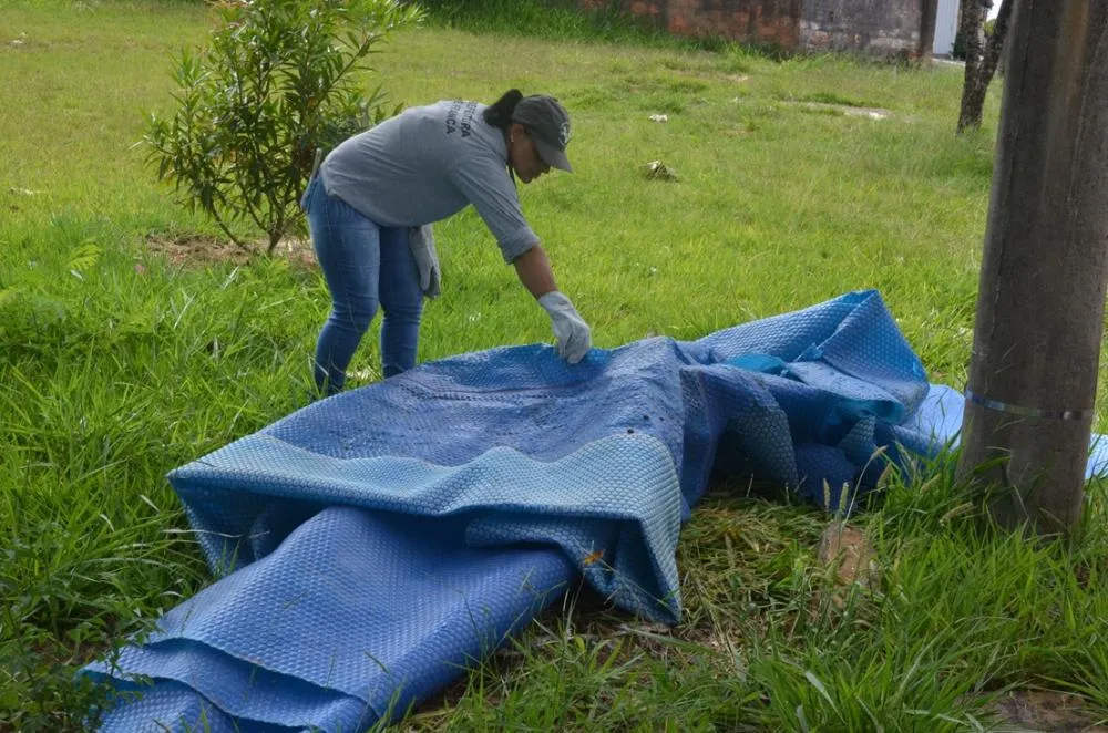 Vila Tótoli e Jardim Planalto recebem operação contra dengue neste sábado em Franca