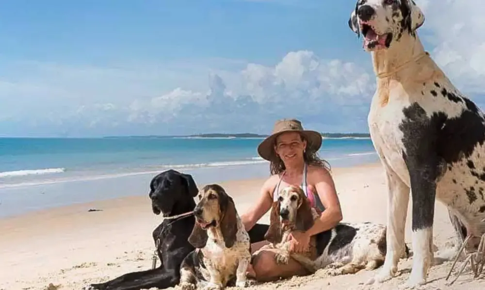 Férias chegam e trazem um dilema: viajar ou não com os pets?
