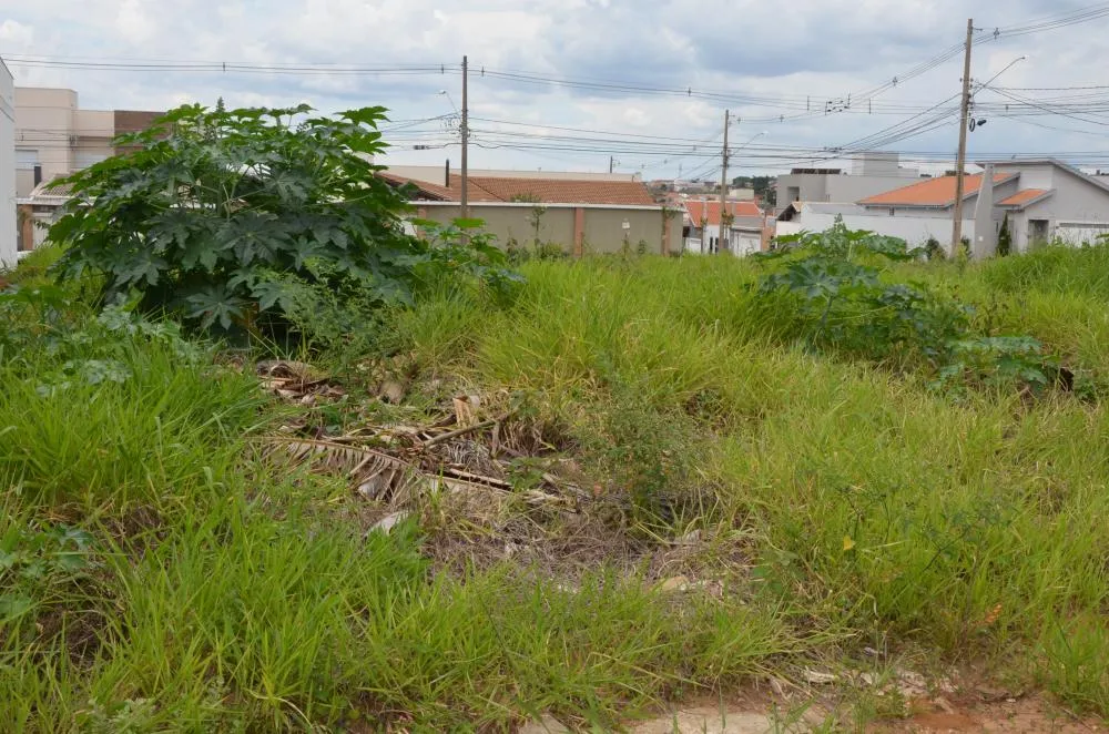 Vigilância Sanitária notifica 26 proprietários para limpeza de terrenos em 10 bairros de Franca