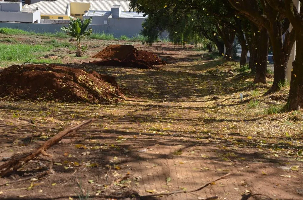 Parque dos Lima recebe 300 metros quadrados de calçamento pelo programa Calçada Segura