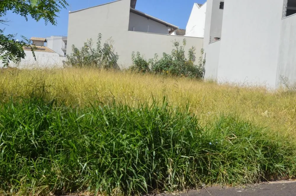 Vigilância Sanitária de Franca notifica 64 proprietários por terrenos sujos; multas podem chegar a centenas de reais