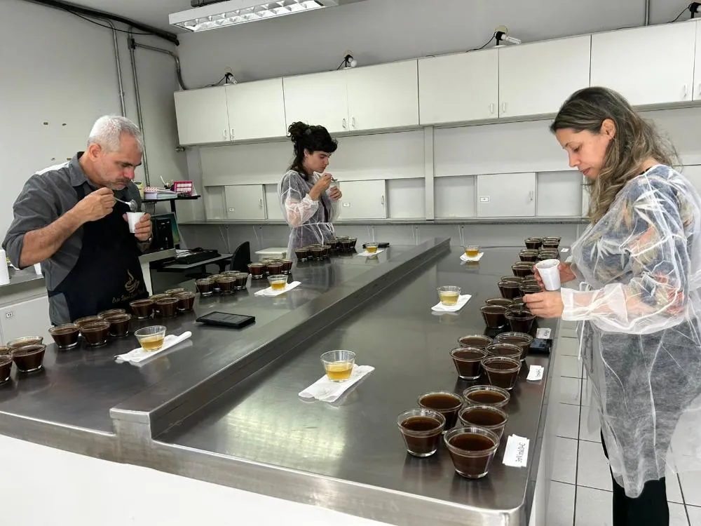 Concurso estadual “Qualidade do Café de São Paulo” entra na etapa de provas