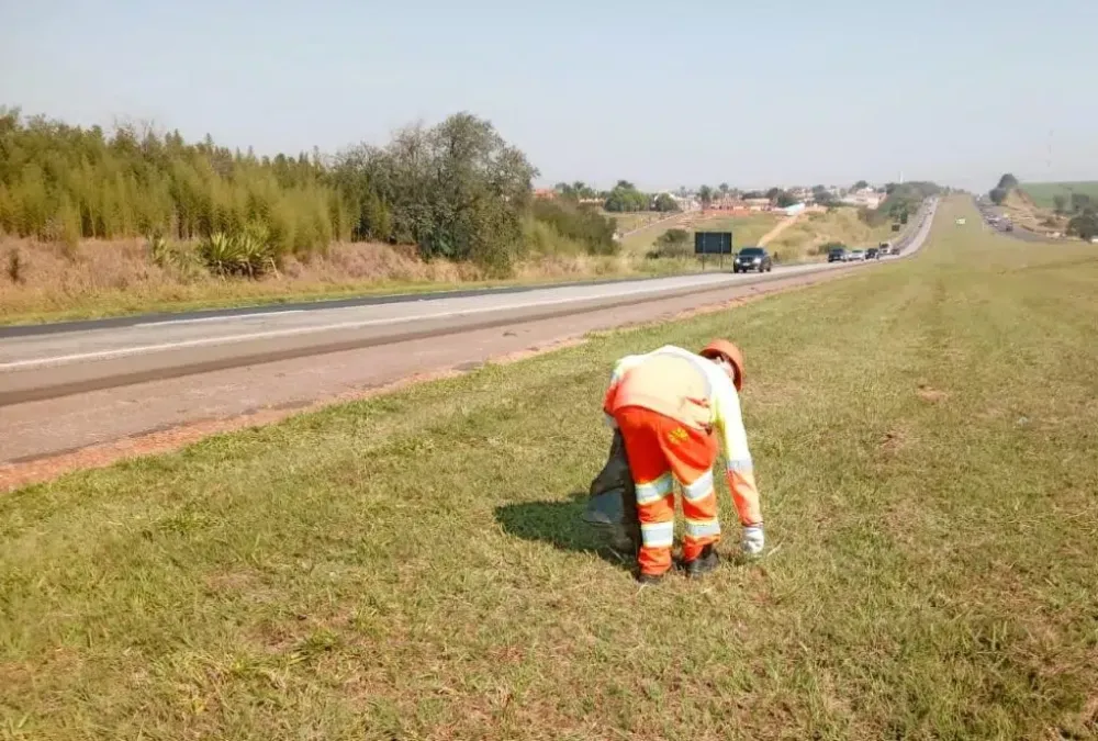 Concessionárias serão responsáveis por limpeza e manutenção das rodovias paulistas, informa Artesp