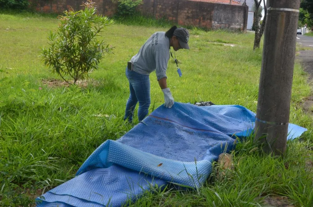 Franca realiza Dia “D” de combate à dengue neste sábado na Feira Livre da Estação